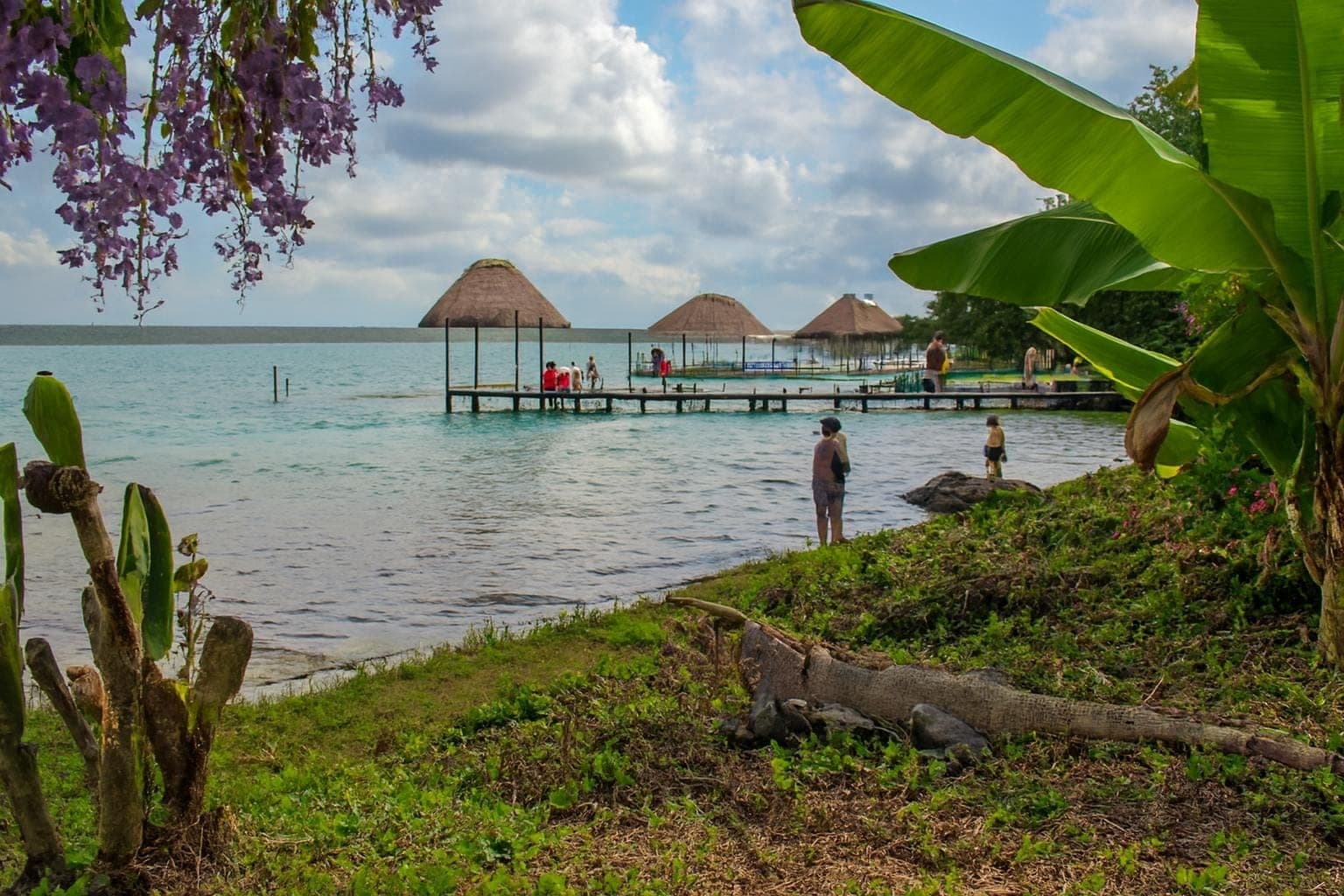 Mangrove forests along the shore of Laguna de Bacalar with calm waters