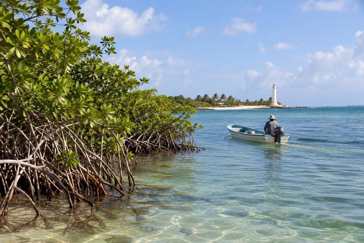 The Mangrove Ecosystem of Mahahual and Its Role in Protecting Costa Maya